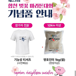 합천 벚꽃마라톤 10km 구함