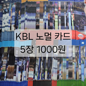 24-25 KBL 노멀 카드