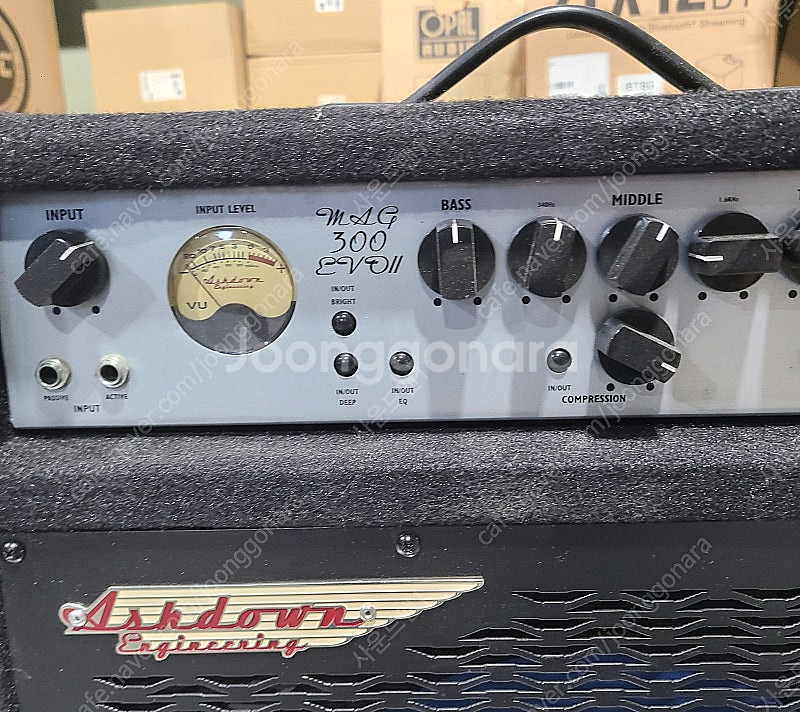 (Ashdown)에쉬다운 MAG300 EVO ii 베이...--2
