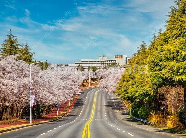 (3월29일/4월5일) 경주/하동 켄싱턴 리조트 가실분...--0