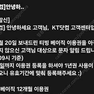 티빙 베이직 12개월 이용권