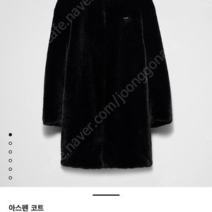 프라다 아스펜 코트