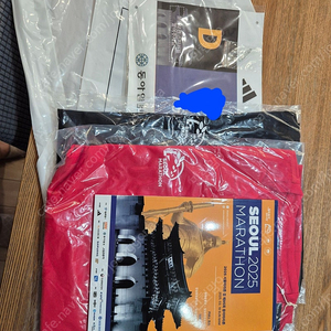 동마 10K -여성 M