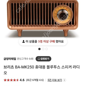 브리츠 블루투스 라디오스피커 BA-MK250