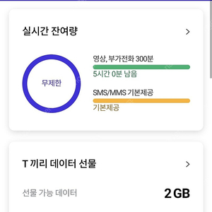 sk데이터 2기가