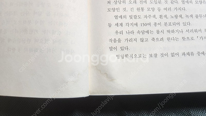 "식품동의보감 - 유태종" 명품 한의학서적--6