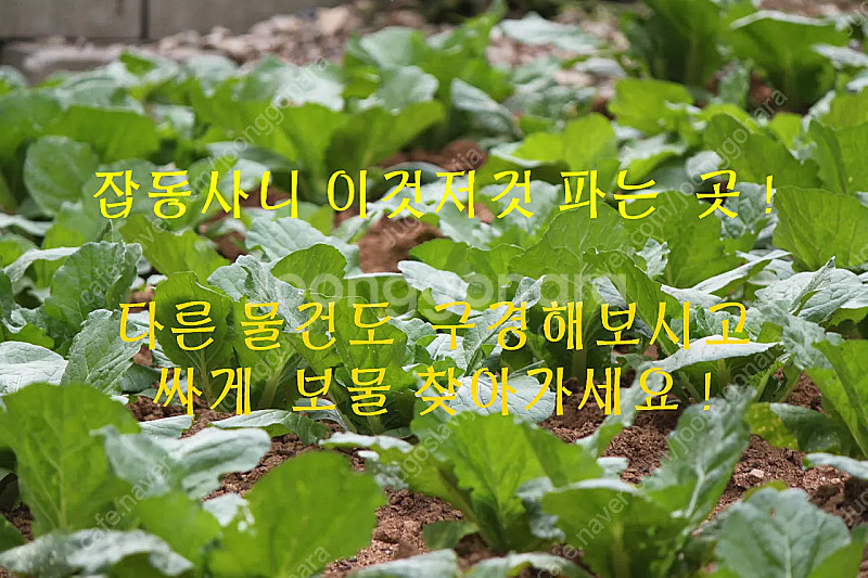 "식품동의보감 - 유태종" 명품 한의학서적--8