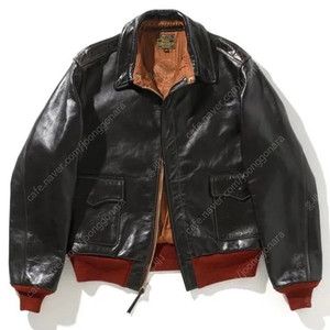 (40)토이즈맥코이 a2 레드립 홀스하이드 a-2