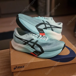 매타스피드 엣지 민트색 290사이즈 미개봉