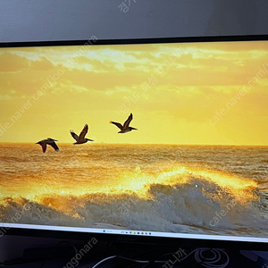 LG 32GQ950 LG 게이밍 모니터 4k160Hz 모니터