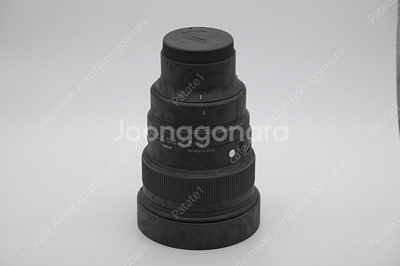 시그마 14mm F1.4 DG DN (소니 E)--3