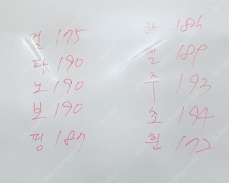 도미노랜드 도미노 1866개--9