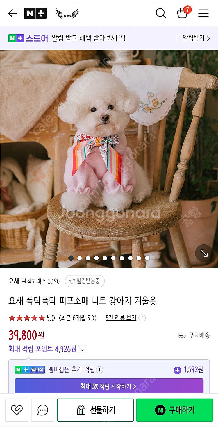 강아지 옷--0
