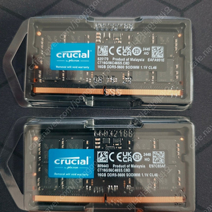 마이크론 크루셜 노트북 램 Crucial ddr5 5600 32gb(16gb×2)