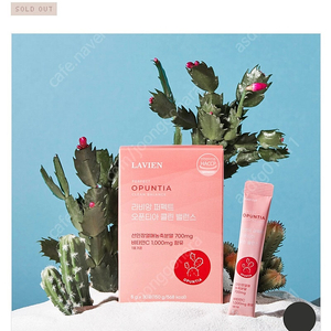 라비앙 오푼티아 밸런스 3박스 새상품+텀블러