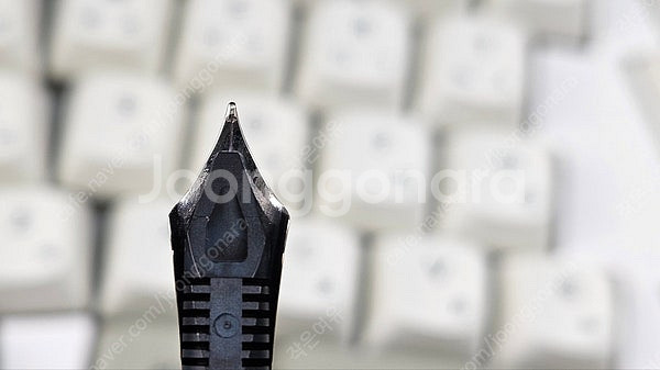 그라폰 클래식 그레나딜라 만년필 F닙 판매합니다--4