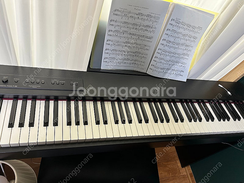 디지털피아노 롤랜드 f-20 팝니다--1