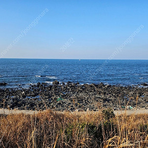 갤러리아 영수증 실적 삽니다, 10프로 할인 무료 나눔합니다.