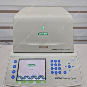 PCR(CFX96 Real Time System)