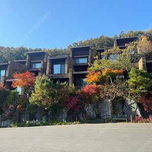 (3월15일) 제천 리솜 포레스트 가실분!