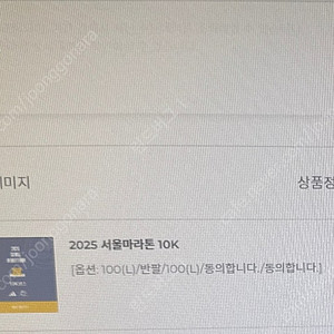 2025서울마라톤 10키로 100라지