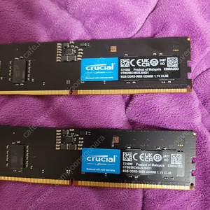 크루셜 DDR5 8x2 16G 램