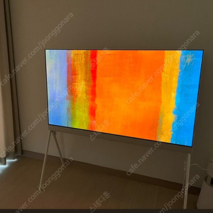 LG OLED 포제 55인치 티비 300만