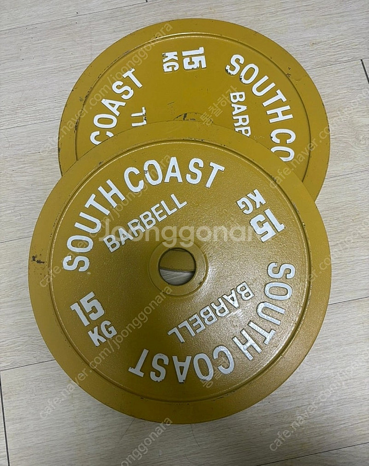 South coast 주물원판 15kg 2개--0