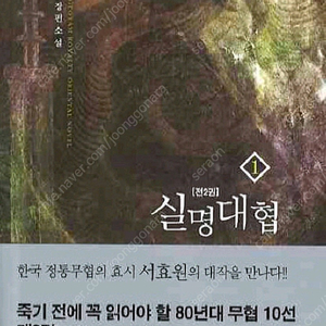 (무협 명작) 서효원의 실명대협 전2권 세트