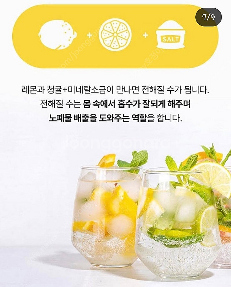레몬즙--1