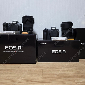 캐논 EOS R rf 24 105 F4 kit / 캐논 EOS R + rf 24 105 F4 팝니다