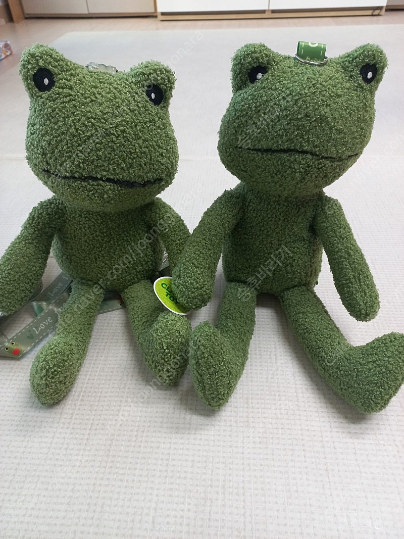 버섯탐정 책5권 팝니다 | 중고나라 - 안심되는 중고거래, image size:800x1067