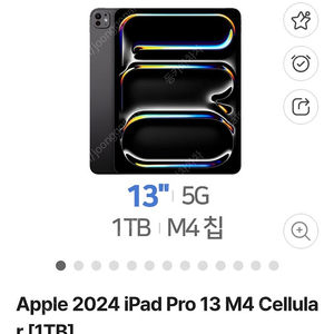 애플 아이패드프로 m4 13 셀룰러
