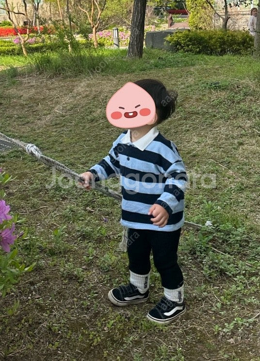 어나더스 스트라이프 카라티셔츠--3