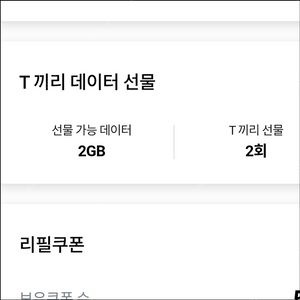 sk데이터 2기가