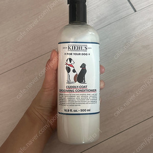 키엘 강아지 트리트먼트