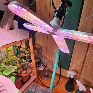 쑤우기 led 식물등