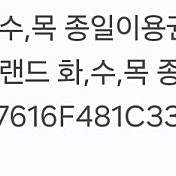 에버랜드 종일권 2매