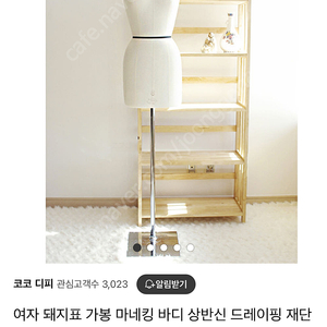 여자 돼지표 마네킹 바디 55호 8호