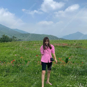 11am제작 핑크반팔 자켓 판매해요