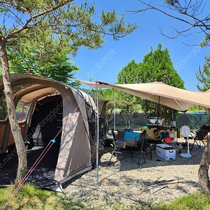 감성 캠핑 끝판왕! 데카트론 면 에어 텐트 에어세컨즈 6.3 초특가 판매!