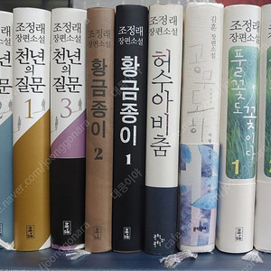도서) 조정래 황금종이.천년의 질문
