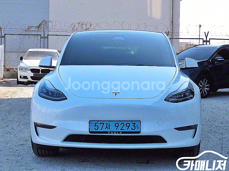 테슬라 [테슬라]모델 Y 퍼포먼스 2024 년 중고차 ...--0