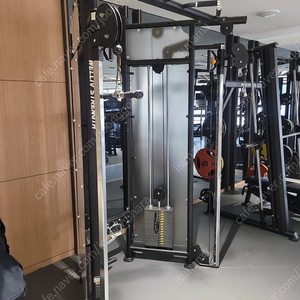 디랙스/디렉스 drax 핀머신/레그프레스/레그컬/레그익스텐션/이너타이/하이폴리/체스트웨이트/팩덱플라이/ 웨이트 셋트 팝니다 상태 극상 풀셋 할인 상차가능 9종730 일괄 500