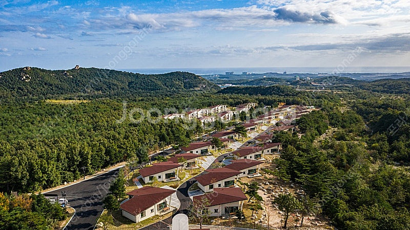 (3월22일) 켄싱턴 설악밸리 초특가!!--0