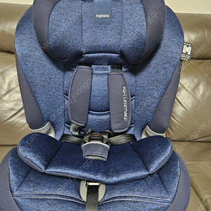 잉글레시나 뉴튼 토들러 카시트 ISOFIX