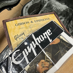 [일렉기타] 에피폰 Epiphone Prophecy Les Paul Custom Plus Gx