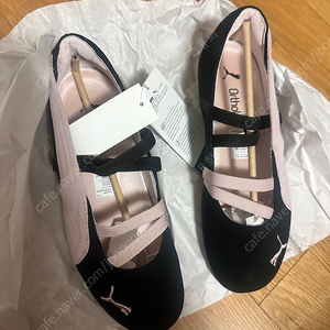 퓨마 스피드캣 발레