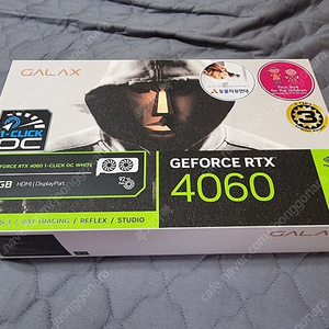 GALAX 갤럭시 RTX 4060 WHITE OC D6 8GB