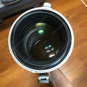 캐논 200-400mm 렌즈